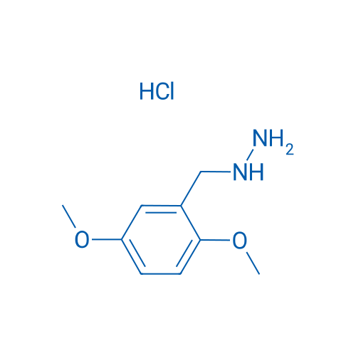(2,5-Dimethoxybenzyl)hydrazine hydrochloride 1g
