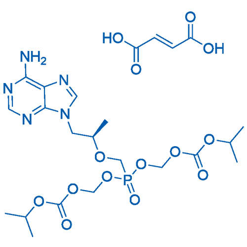 Tenofovir Disoproxil fumarate 500g