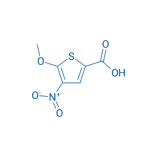 5-Methoxy-4-nitrothiophene-2-carboxylic acid 1g