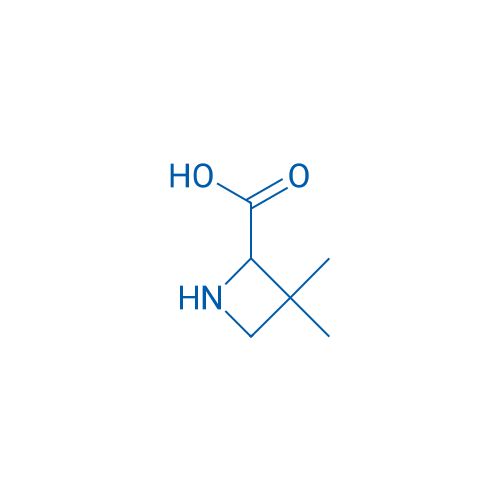 3,3-Dimethylazetidine-2-carboxylic acid 1g