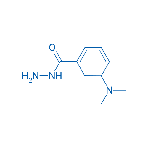 3-(Dimethylamino)benzohydrazide 250mg