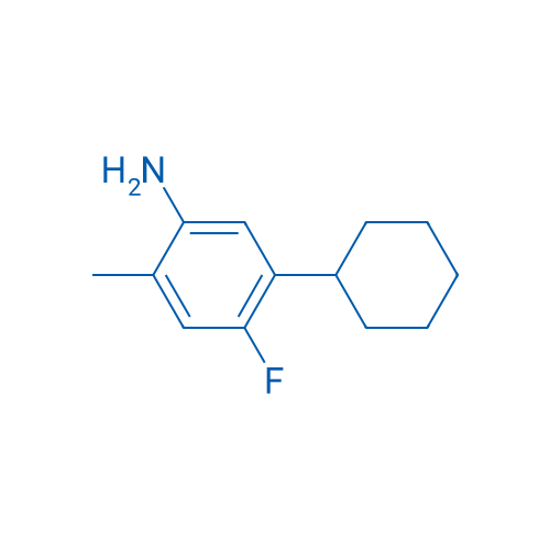 5-Cyclohexyl-4-fluoro-2-methylaniline 1g