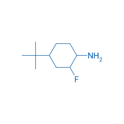 4-tert-Butyl-2-fluorocyclohexan-1-amine 1g