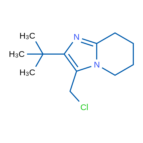 2-tert-Butyl-3-(chloromethyl)-5H,6H,7H,8H-imidazo[1,2-a]pyridine 1g