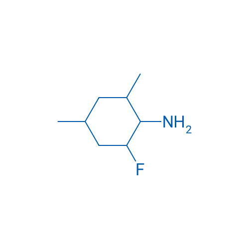 2-Fluoro-4,6-dimethylcyclohexan-1-amine 1g