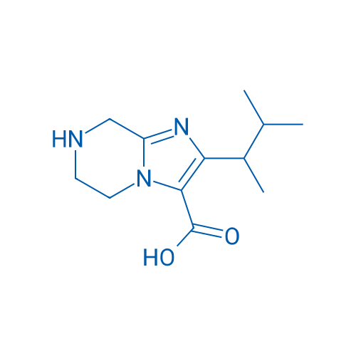 2-(3-Methylbutan-2-yl)-5H,6H,7H,8H-imidazo[1,2-a]pyrazine-3-carboxylic acid 1g