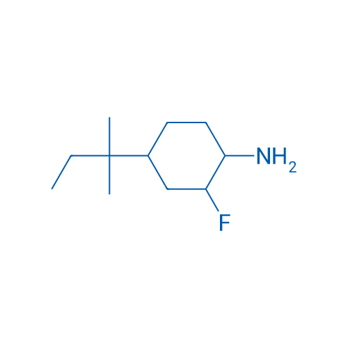 2-Fluoro-4-(2-methylbutan-2-yl)cyclohexan-1-amine 1g