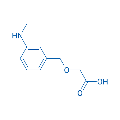 2-{[3-(methylamino)phenyl]methoxy}acetic acid 5g