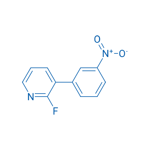 2-Fluoro-3-(3-nitrophenyl)pyridine 1g