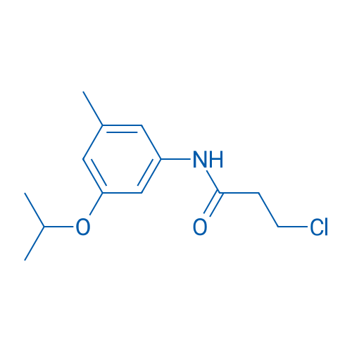 3-Chloro-N-[3-methyl-5-(propan-2-yloxy)phenyl]propanamide 1g