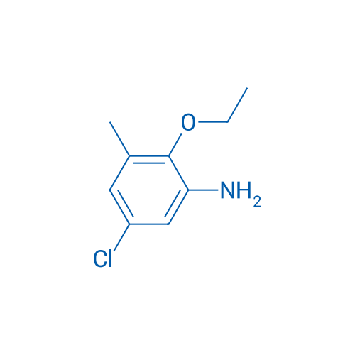 5-Chloro-2-ethoxy-3-methylaniline 1g