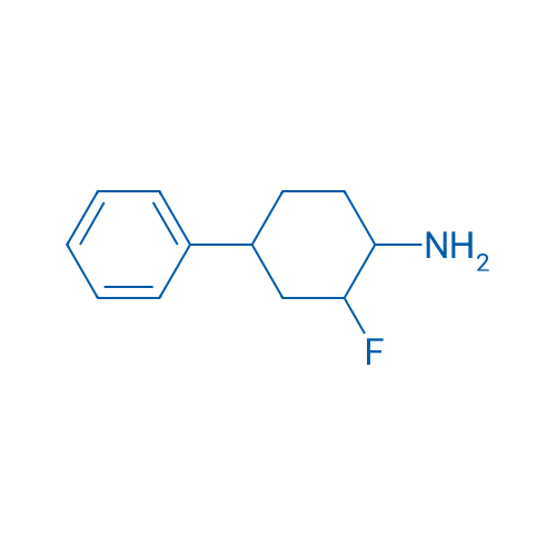 2-Fluoro-4-phenylcyclohexan-1-amine 1g