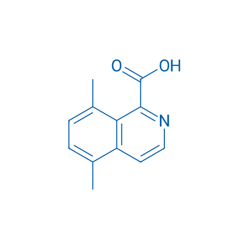 5,8-Dimethylisoquinoline-1-carboxylic acid 1g