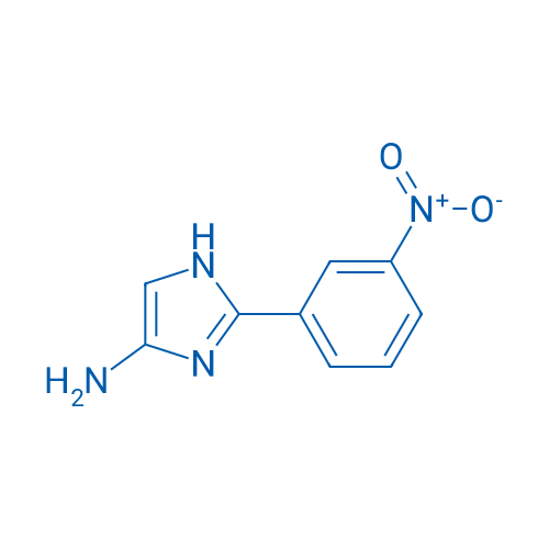 2-(3-Nitrophenyl)-1H-imidazol-4-amine 1g