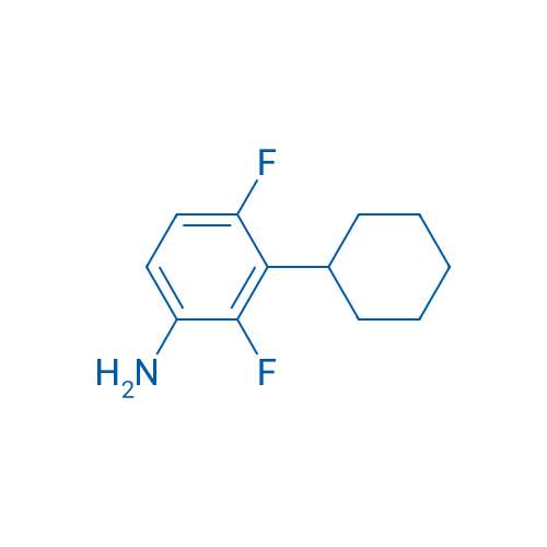 3-Cyclohexyl-2,4-difluoroaniline 1g