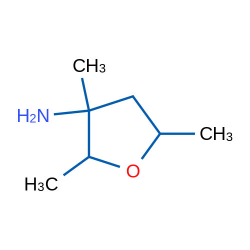 2,3,5-Trimethyloxolan-3-amine 1g