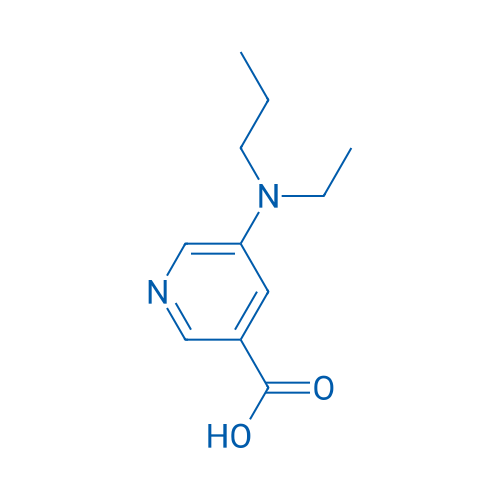 5-[Ethyl(propyl)amino]pyridine-3-carboxylic acid 1g