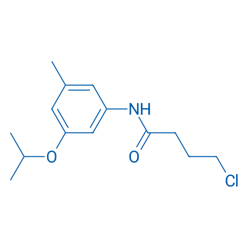 4-Chloro-N-[3-methyl-5-(propan-2-yloxy)phenyl]butanamide 1g