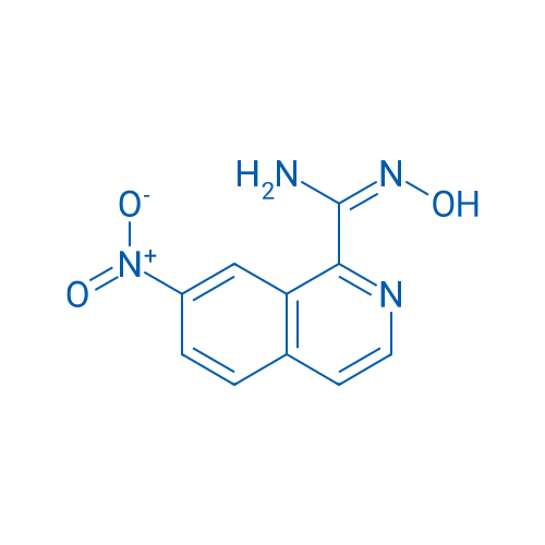 (E)-N'-Hydroxy-7-nitroisoquinoline-1-carboximidamide 1g