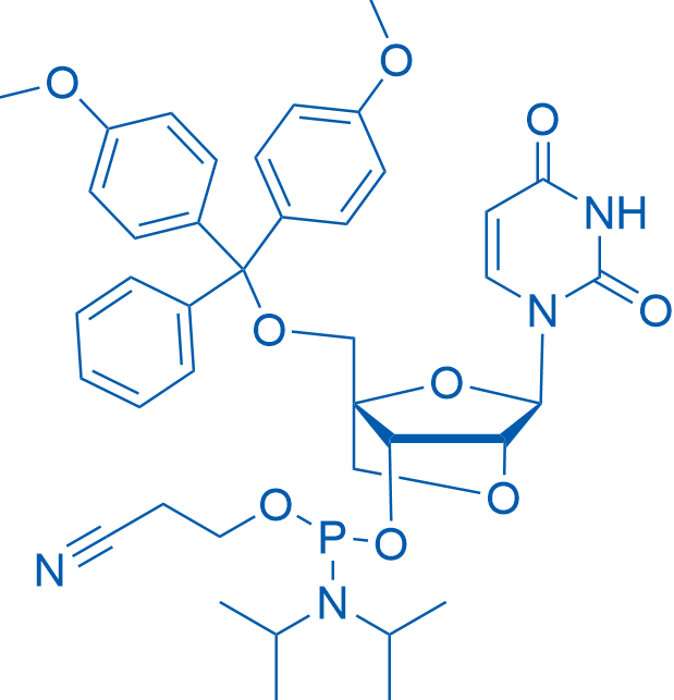 DMTr-LNA-U-3-CED-Phosphora 1g