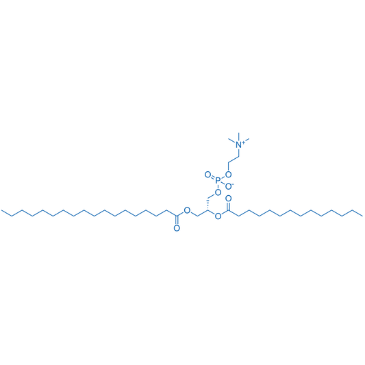 1-Stearoyl-2-myristoyl-sn-glycero-3-PC 250mg