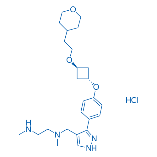 EPZ020411 HCl 25mg