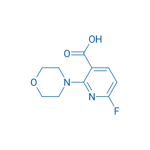 6-Fluoro-2-morpholinonicotinic acid 1g