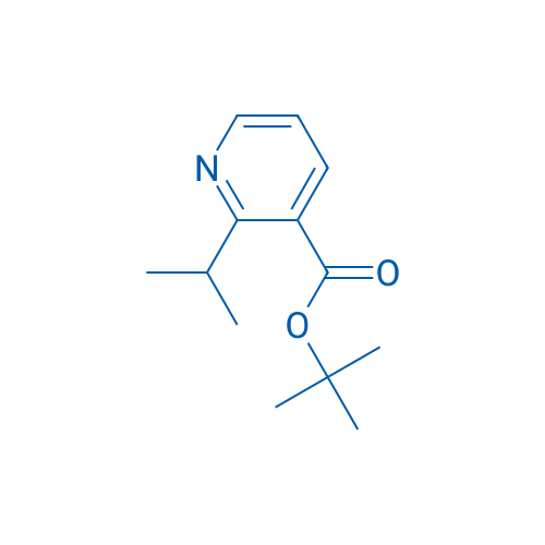 tert-Butyl 2-isopropylnicotinate 1g
