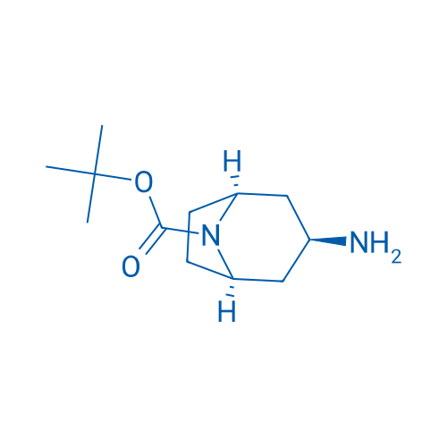 N-Boc-endo-3-aminotropane 10g