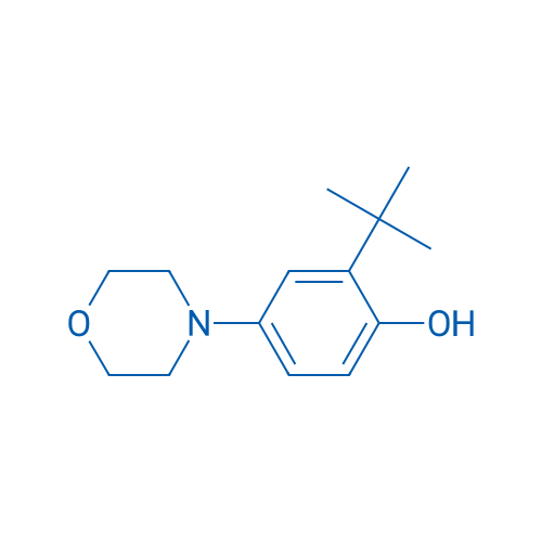 2-(TERT-BUTYL)-4-MORPHOLINOPHENOL 1g