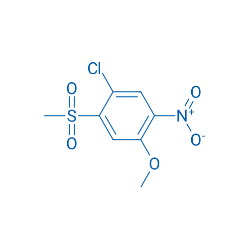 1-CHLORO-4-METHOXY-2-(METHYLSULFONYL)-5-NITROBENZENE 1g