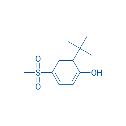 2-(TERT-BUTYL)-4-(METHYLSULFONYL)PHENOL 1g
