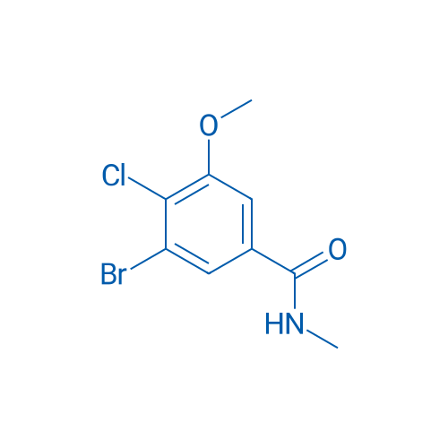 3-Bromo-4-chloro-5-methoxy-N-methylbenzamide 250mg