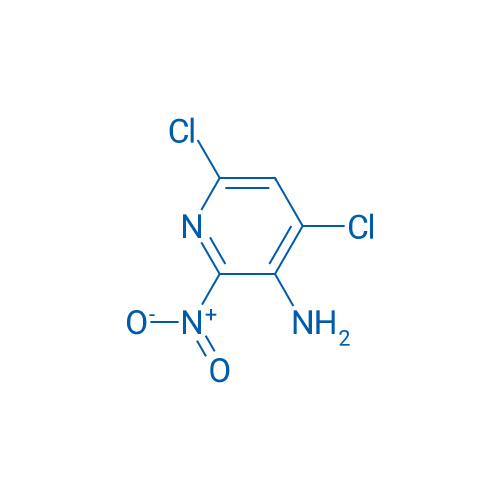 4,6-Dichloro-2-nitropyridin-3-amine 5g
