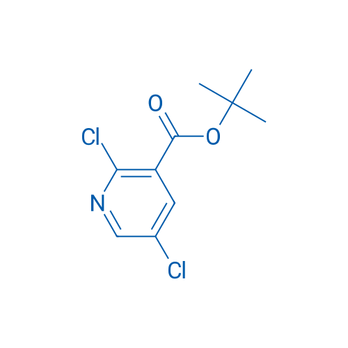 tert-Butyl 2,5-dichloronicotinate 250mg