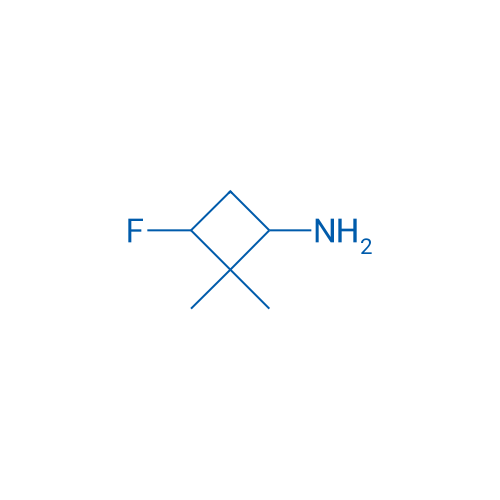 3-fluoro-2,2-dimethylcyclobutan-1-amine 1g