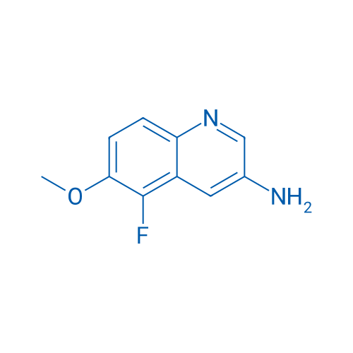 5-Fluoro-6-methoxyquinolin-3-amine 1g