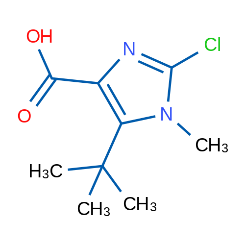 5-tert-Butyl-2-chloro-1-methyl-1H-imidazole-4-carboxylic acid 1g