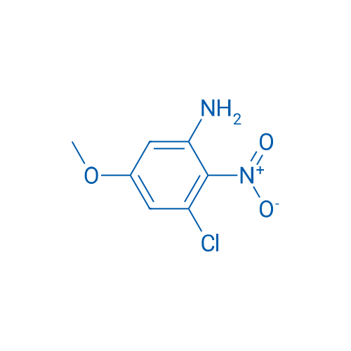 3-Chloro-5-methoxy-2-nitroaniline 1g