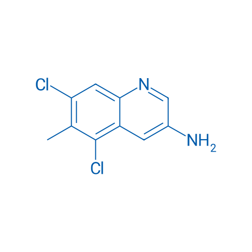 5,7-Dichloro-6-methylquinolin-3-amine 1g
