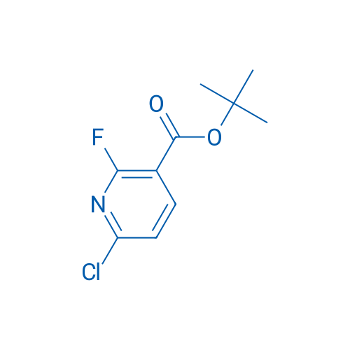tert-Butyl 6-chloro-2-fluoronicotinate 1g