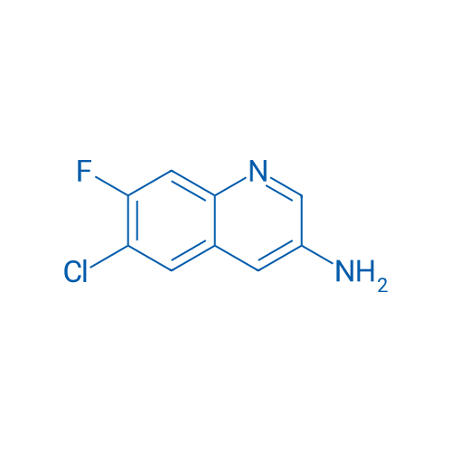 6-Chloro-7-fluoroquinolin-3-amine 1g