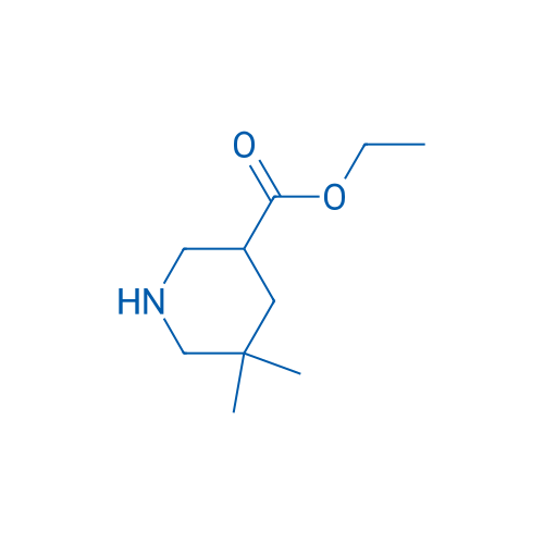 Ethyl 5,5-dimethylpiperidine-3-carboxylate 250mg