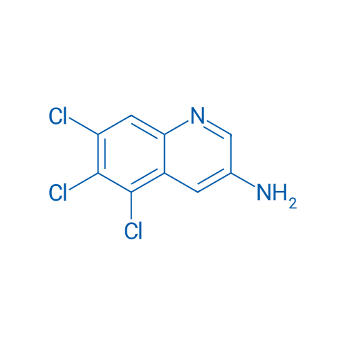 5,6,7-Trichloroquinolin-3-amine 1g