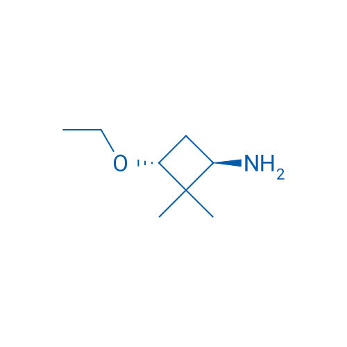 trans-3-Ethoxy-2,2-dimethylcyclobutan-1-amine 250mg