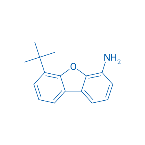 6-(tert-Butyl)dibenzo[b,d]furan-4-amine 5g