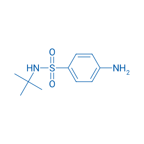 N-tert-Butyl 4-Aminophenylsulfonamide 1g