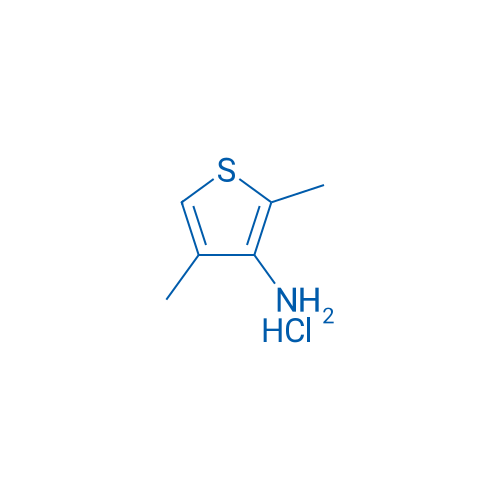 2,4-Dimethylthiophen-3-amine hydrochloride 1g