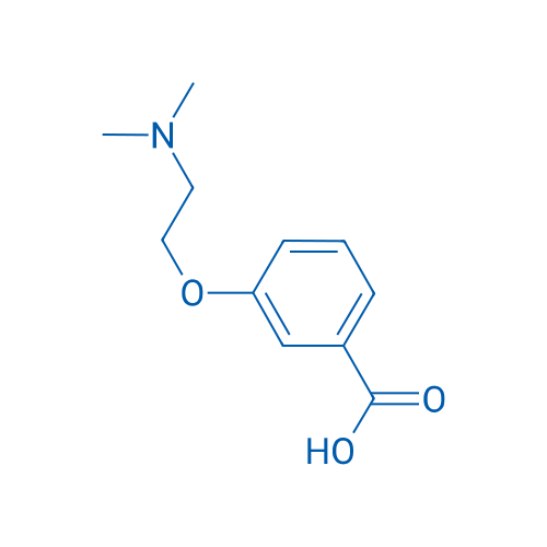 3-(2-(Dimethylamino)ethoxy)benzoic acid 1g