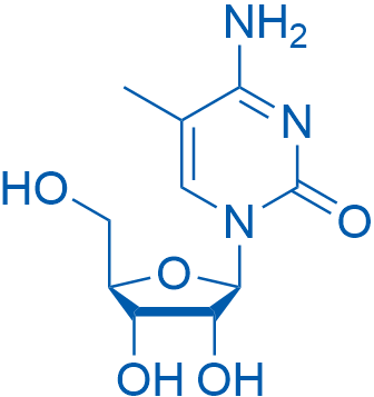 5-Methylcytidine 25g